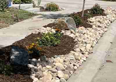 sidewalk strip, tree lawn xeriscape landscaping ideas